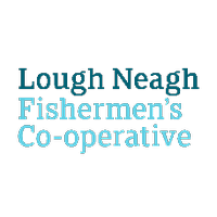 LoughNeaghEels (@loughneagheels) 's Twitter Profile