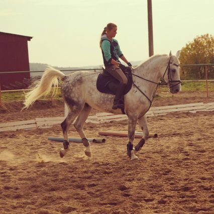 Δ[Equestrian sports]Δ