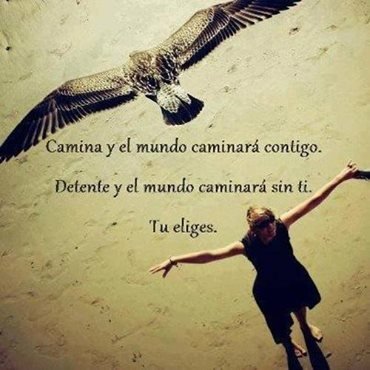 gatamercedes's profile picture. 