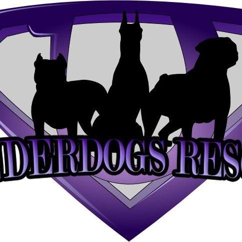 We are a not for profit organization that is dedicated to rescuing large “power” breed dogs in Alberta.