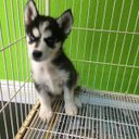 Jeny Diaz - @Angele1988Jd - Twitter