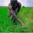 patstraw97's profile image