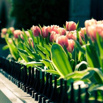 tryingthisouttt's profile picture. You tell me I can't find it, i'll take the challenge on. Blogger, NYC has my heart. Website coming soon, stayed tuned.