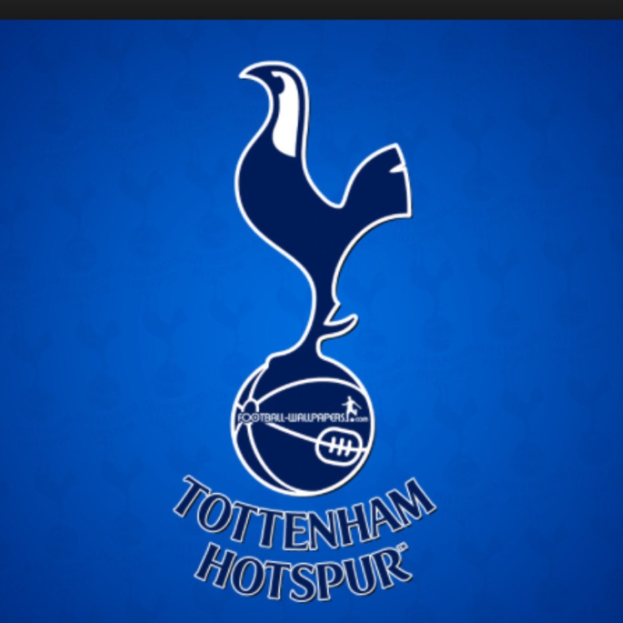 No1 nike and spurs fan