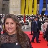 Ingeniera de sistemas especialista en gerencia de proyectos