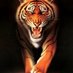 RKV (@rajesh_k_v) Twitter profile photo RKV (@rajesh_k_v) Twitter profile photo