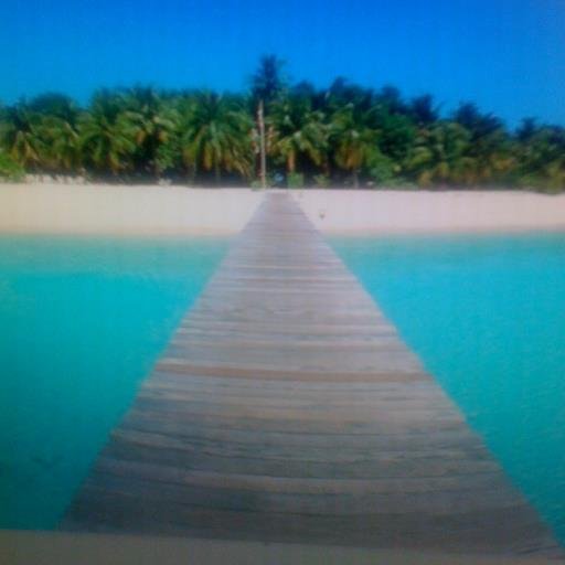 caronice's profile picture. 