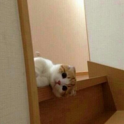 오직 너를 위하여 
모든 것에 이름이 있고 
기쁨이 있단다. 
나의 사람아.