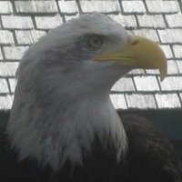 David Adler (@daveadler01) 's Twitter Profile