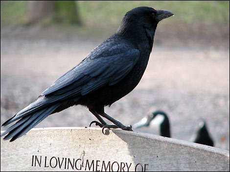 Deceased's profile picture. 