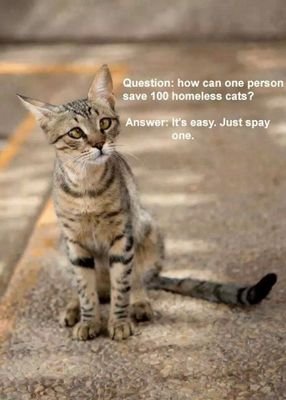 Well balanced female that usually have+ inter-relationships w ppl. Twt pics from others I saved. Answer's blowin n the wind..*NO LISTS! #gh