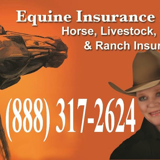 Insuring Animals, Farms, Ranches, Boarding Liability, Trainers Liability, Trucks, Trailers, Tractors,  and much much more!  Ask us what we can Insure for You!