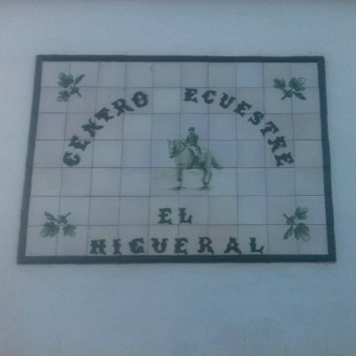 centro ecuestre el higueral, clases de equitacion a 10€ la hora, alquiler de boxee175€ al mes con derecho a comida, limpieza e instalaciones . tfn:637413161