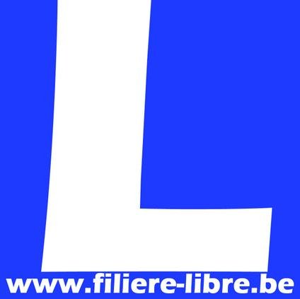 Tout ce que vous devez savoir pour réussir le permis de conduire B