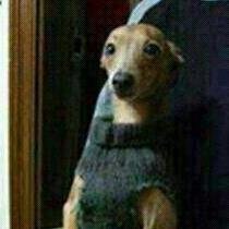 Oi