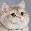 Robert fullam - @Abadacrus - Twitter