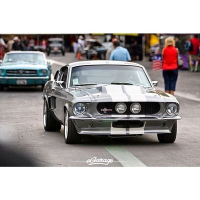 disell8's profile picture. 