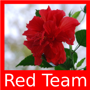 redteam's profile picture. 