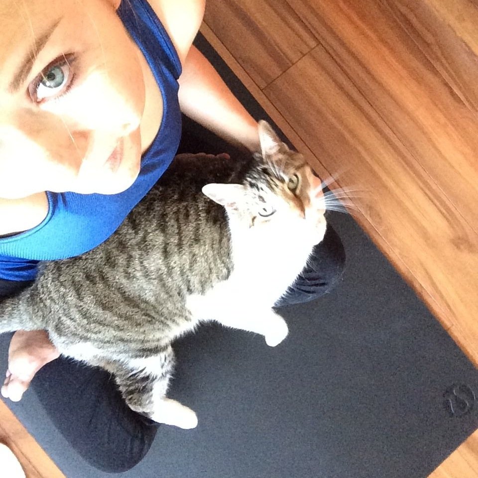 Wife, ashtangi, dog walker, kitty snuggler, weekend traveler, snowboard rider, avid reader, mostly vegetarian kind of girl.