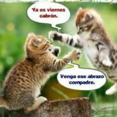 g_yiyi's profile picture. 