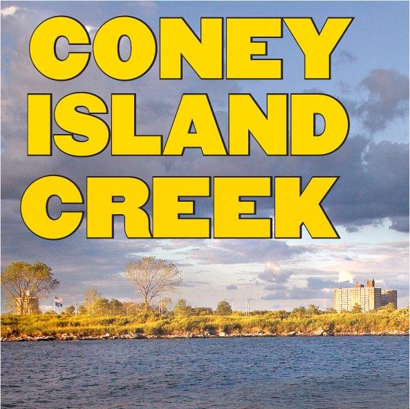 Coney Island Creek After Sandy. Charles Denson, historian and  Coney Island native, has been documenting the Creek for over 40 years.