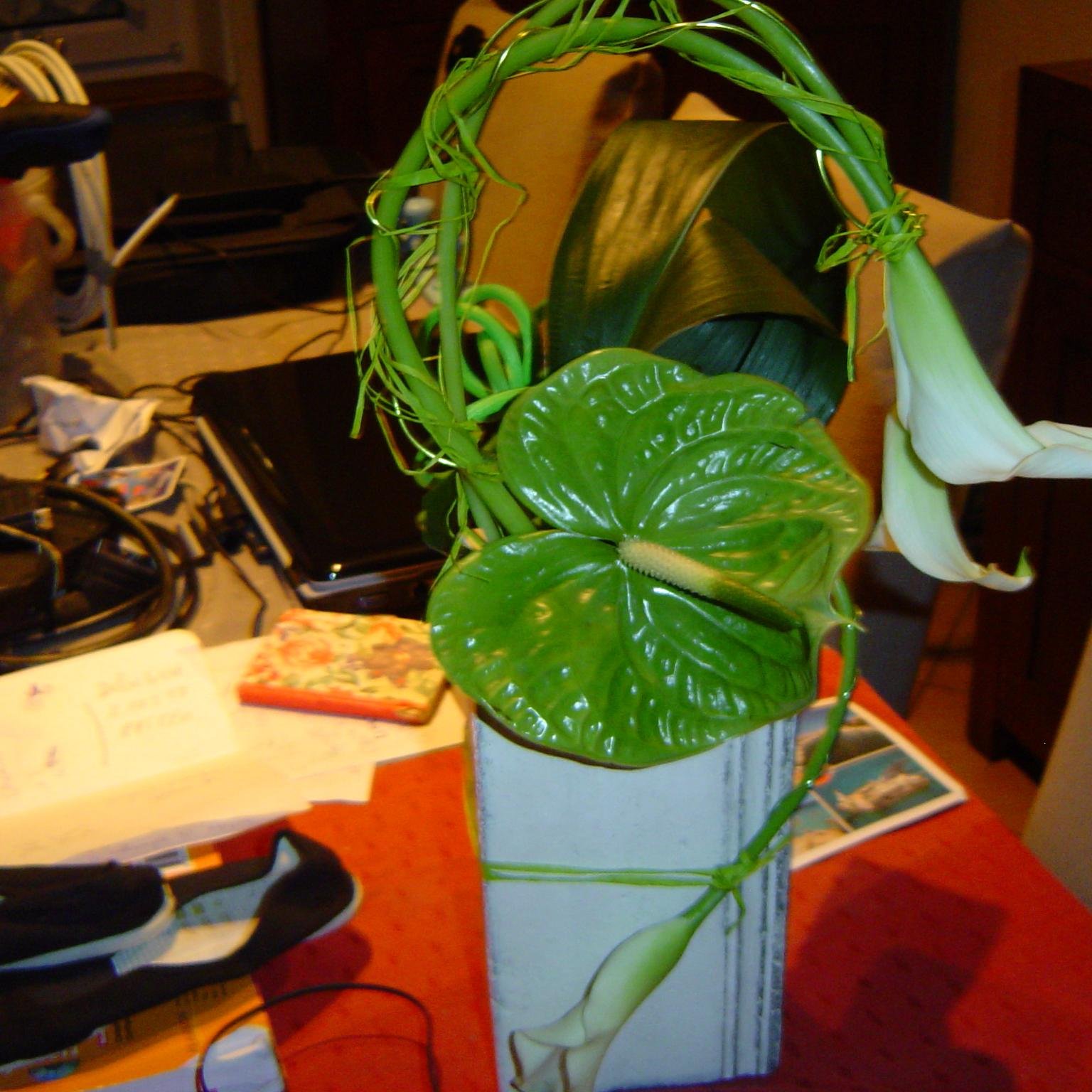 vanes54440's profile picture. 