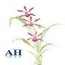 Ann Herring CTA,MAAT - @AnnHerringCTA - Twitter