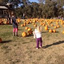 Jenny Sheldon - @jennymsheldon - Twitter