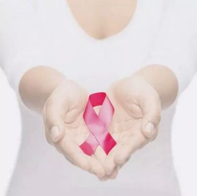 papillon2104's profile picture. 