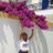 Hellena_T's profile image