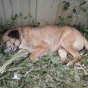 David Bernard - @Ghostdavid2942 - Twitter