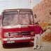 coşkun özer (@sehzadebeyi) Twitter profile photo