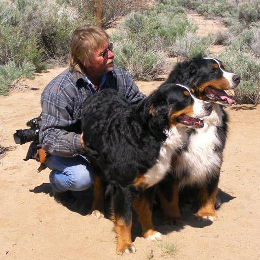 NewDayPhoto1's profile picture. 