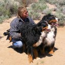 Patrick Hanes - @NewDayPhoto1 - Twitter