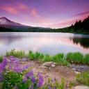 Elsa Ayala - @elsaneidiayala1 - Twitter