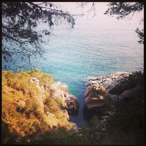 bellastravels's profile picture. New adventures. What can I do on a 6 month sabbatical?!