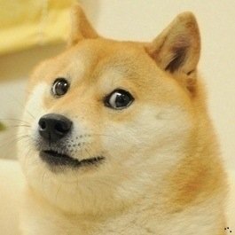 Such speed, wow, very fast, much highspeed, wow!