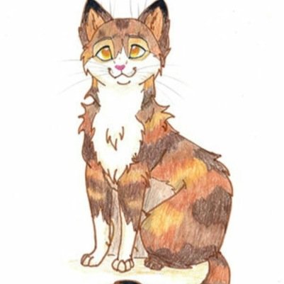 Hi! I'm Meeko! A daring, hyper, shekit. #Single #Shecat I dont have a family or a clan.