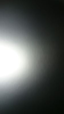 tazzman223's profile picture. 