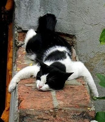 lasalsadlavida's profile picture. Psicóloga. Artesana en prácticas. Curiosa de la vida. Aficionada a la Historia y a la Gastronomía en todas sus vertientes.