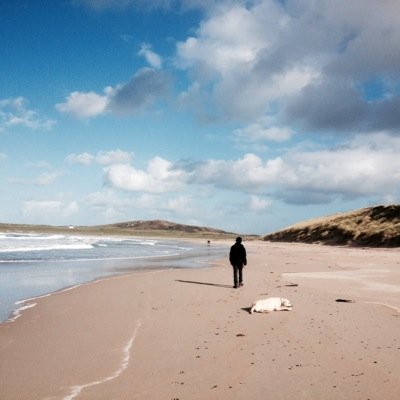 Dave Nicholls/ cabinet maker/ joinery/ copy woodturning and all things wood.