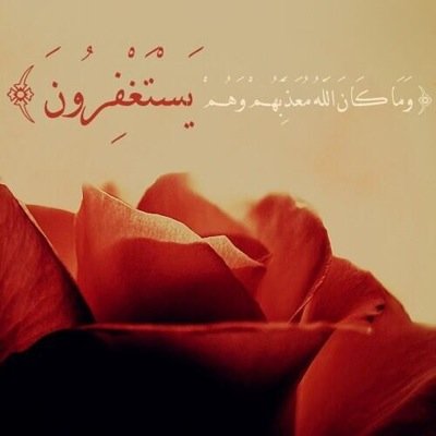 chfchf1's profile picture. 