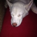 Jason Haak - @funnyguy10886 - Twitter