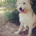 Candy - @CandyLunaGon - Twitter