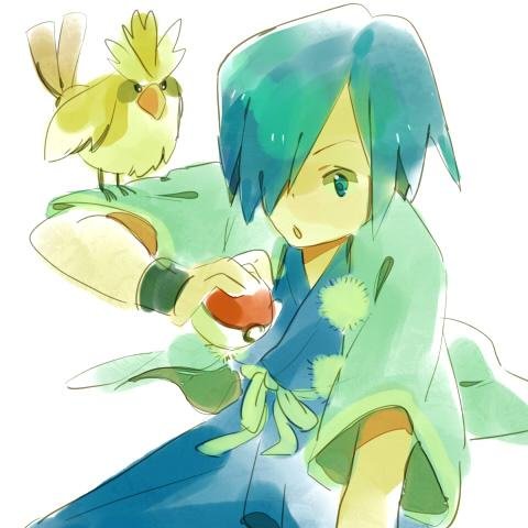 Conta Principal / Main Account : @imbluefalcon