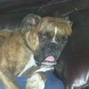 Randy Lee Sellars, S - @justarandy1969 - Twitter