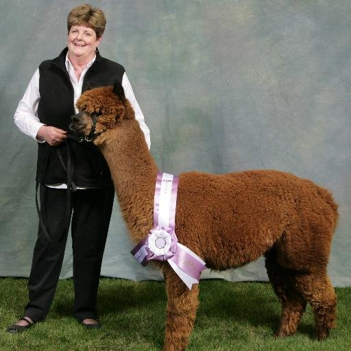 lrjohnso's profile picture. Alpaca breeder and former newspaper editor and higher education communications professional on cusp of new life adventure.