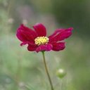 Jean Waring-Thomas - @jeanw_t - Twitter