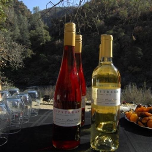 Upstream Wines is an Active WINE CLUB with events! Both reds & white wines, with bright and fruity flavors from the heart of Lodi wine country 🍷