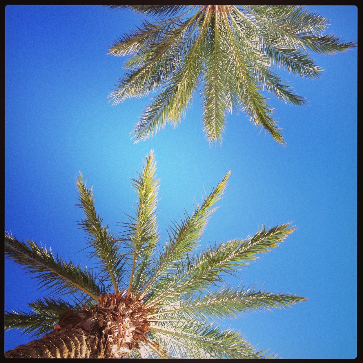 myownthememusic's profile picture. 